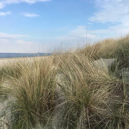 Duenenwald 2 Karlshagen