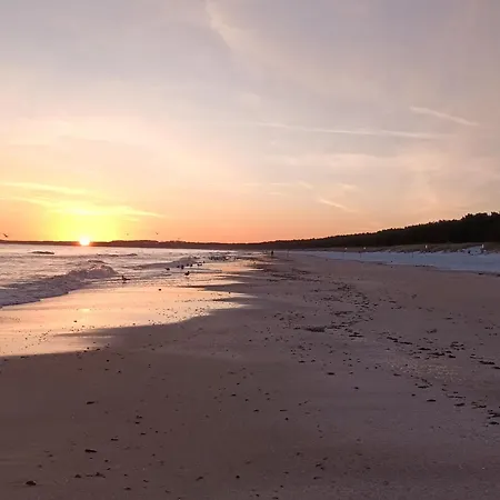 Duenenwald 2 Karlshagen