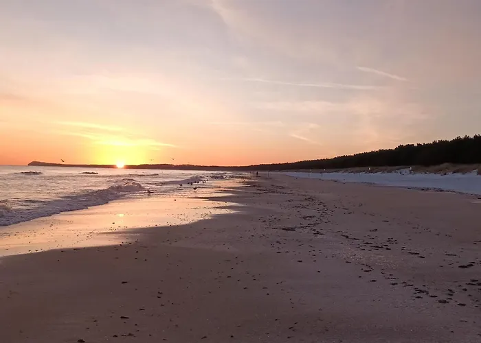 Duenenwald 2 Karlshagen